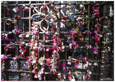 img_4214small img_4214small