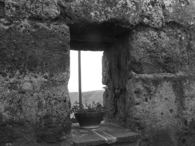 img_5220small_1272834412_509625