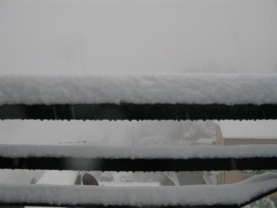 img_5552 img_5552