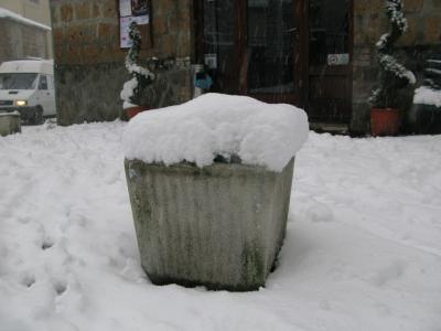 img_5562 img_5562