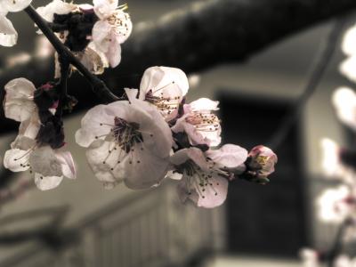 img_6020_1_2_tonemapped_copy