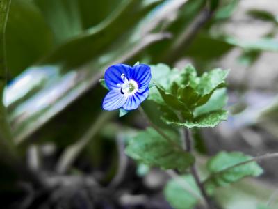 img_6030_1271271453_162617