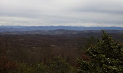 img_8909 img_8909