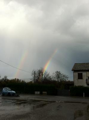 photo_nov_09_3_46_30_p