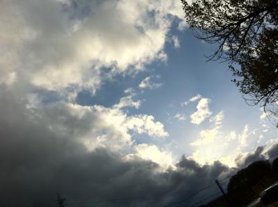 photo_nov_09_3_50_02_p