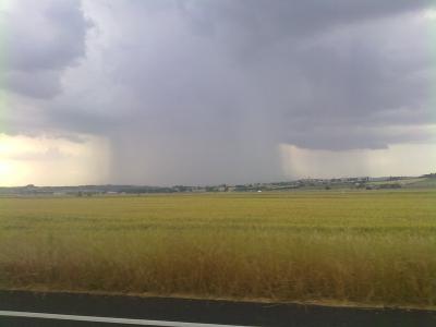 07062010173 07062010173