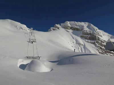 1010205_718877774797860_1468517263_n