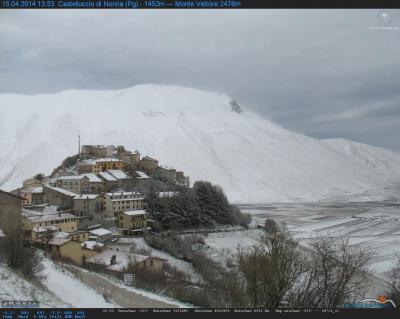 1200_1397563891_817366