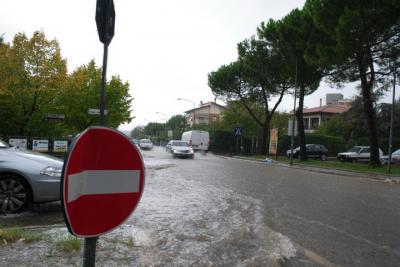 64493_1641608885492_1394910767_31688930_3004916_n