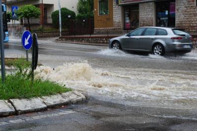 64917_1641619045746_1394910767_31688966_1271043_n