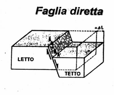 immagine1_copy
