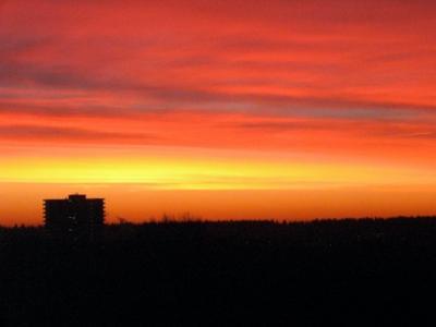 wag_s_dawn wag_s_dawn