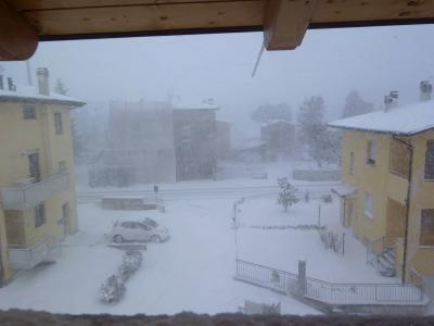 p1000046_1328631963_227477