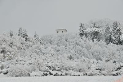 2009_12_19_001