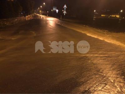 11f84ce6_8b4a_41e2_a307_a23e0c91c447