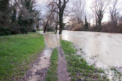 27459814_10213437613927213_1617348831869441454_n