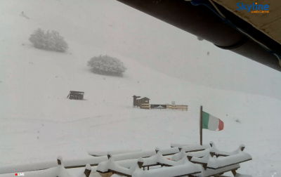 cattura_1544788285_494922 cattura_1544788285_494922