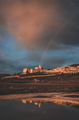 immagine_1649076097_470340