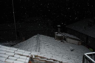 11_febbraio_2009_005