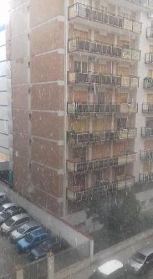 085991_117338_0 085991_117338_0