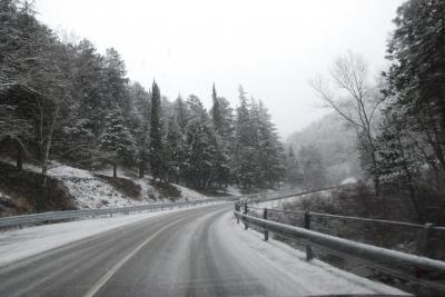 dsc_0004_1264672441_357865