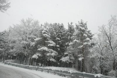 dsc_0019_1264672493_618331