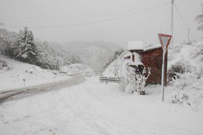 dsc_0024_1264672533_577267