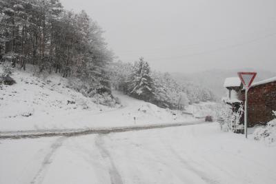 dsc_0034_1264672556_218405