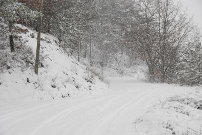 dsc_0040_1264672618_848750