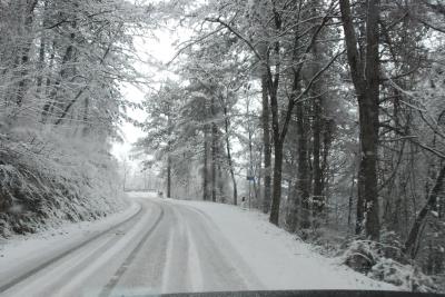 dsc_0052_1264672762_391636