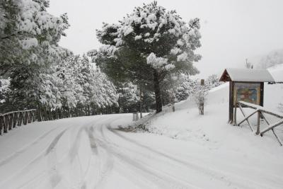 dsc_0055_1264672804_943772