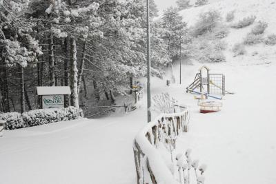 dsc_0057_1264672861_619160