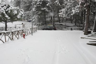 dsc_0061_1264672894_299060