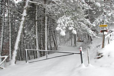 dsc_0064_1264672923_424035