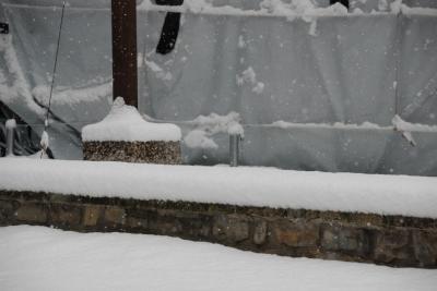 dsc_0065_1264672953_352220