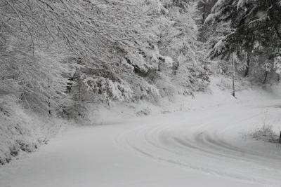 dsc_0075_1264672984_239211