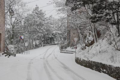 dsc_0084_1264673226_225299