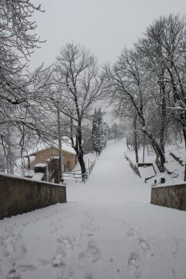 dsc_0086_1264673274_176354