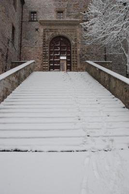 dsc_0087_1264673299_287460