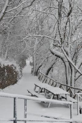 dsc_0089_1264673321_143006