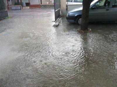 dscf0005_1215024276_498602 dscf0005_1215024276_498602