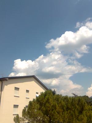 immag002_1217159743_437269