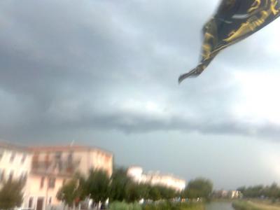 immag004_1252229280_630903 immag004_1252229280_630903