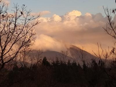 img_20210211_wa0047 img_20210211_wa0047