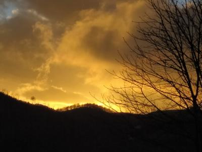 img_20210211_wa0048 img_20210211_wa0048