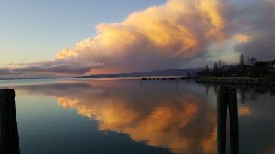 136944492_1351538848534575_6630236844591110318_n