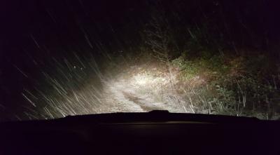 149924161_142791687595792_971738856363542141_n