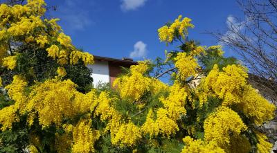 152420116_1088180161594107_4561301680939288229_n 152420116_1088180161594107_4561301680939288229_n