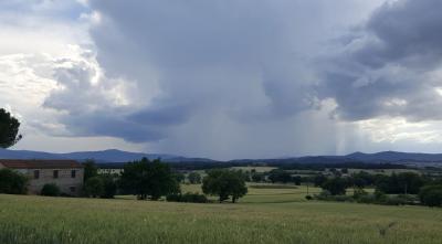 197532574_846477259598195_3965982551049272051_n