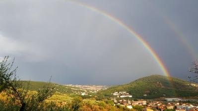 242259440_1540928452940488_643544746199822702_n